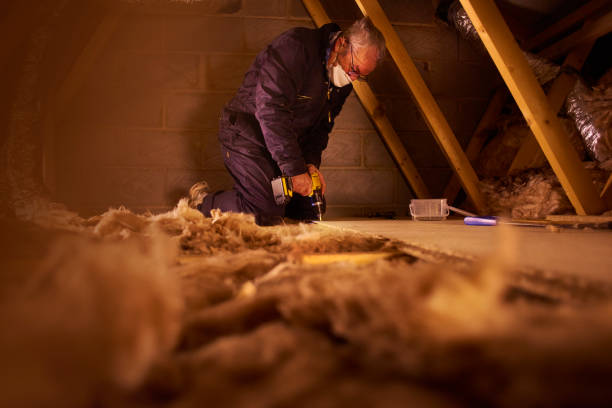 Best Eco-Friendly or Green Insulation Solutions  in Buckeystown, MD